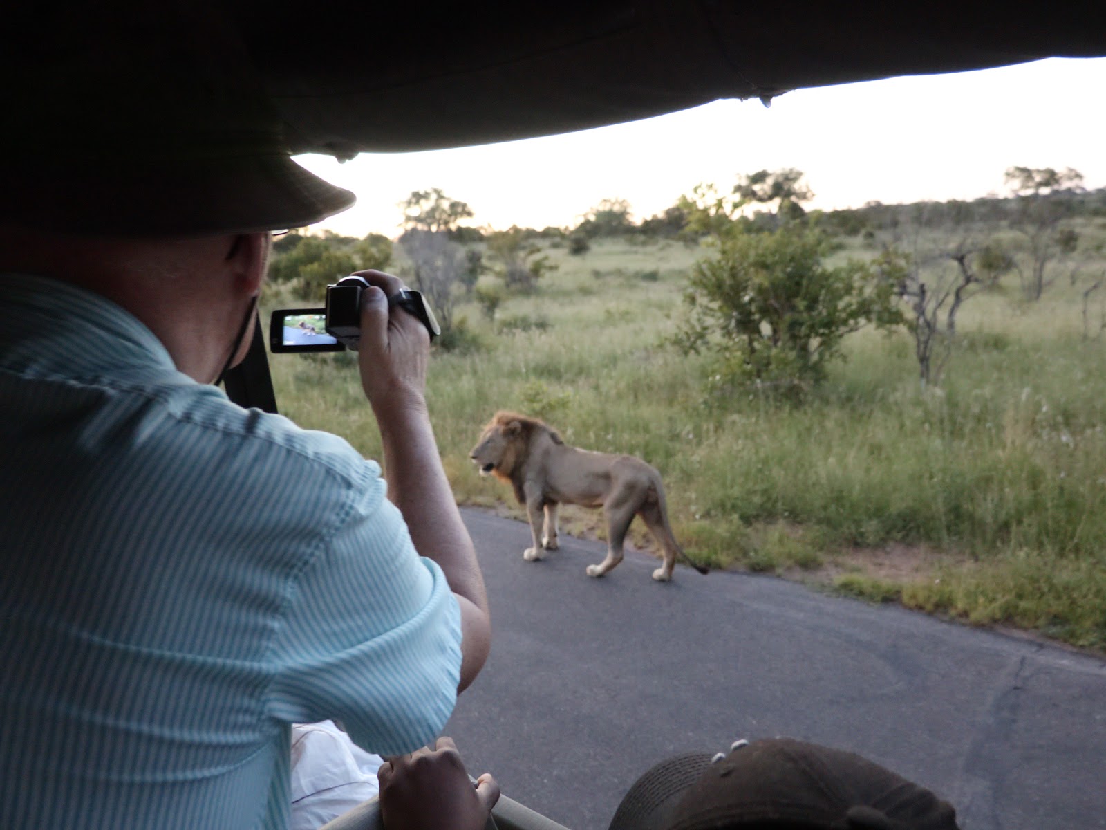 Kruger Game Drive — Mbombela