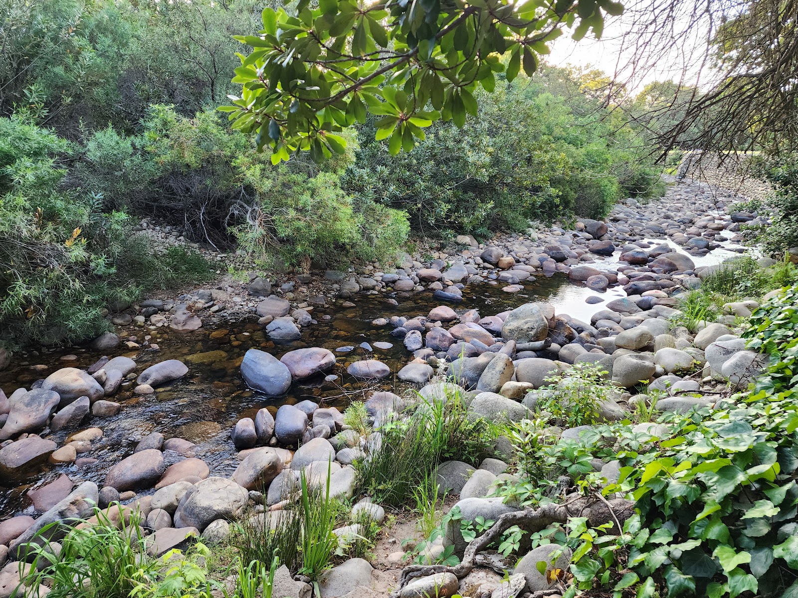 Brümmer Park — Stellenbosch