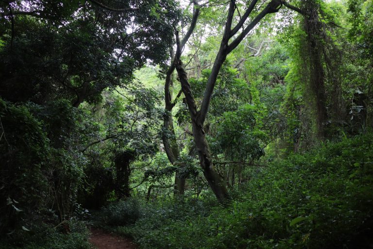 Virginia Bush Nature Reserve