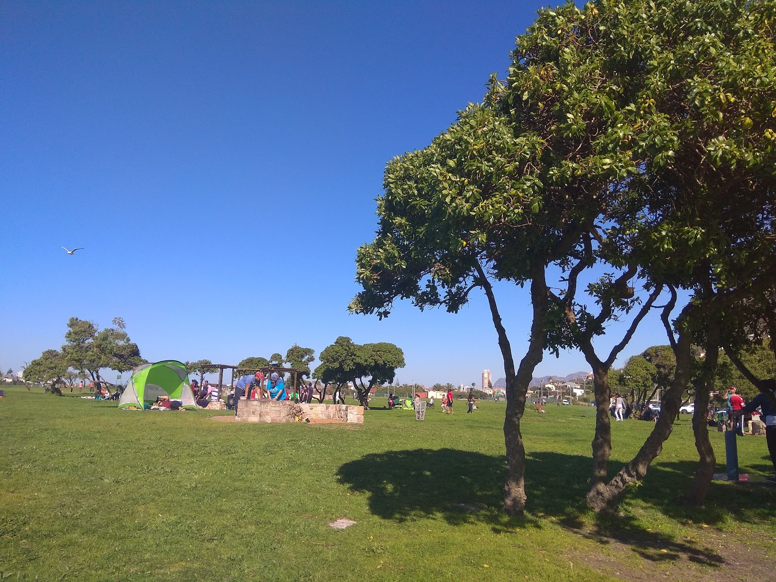 Zandvlei Recreational Park — Cape Town