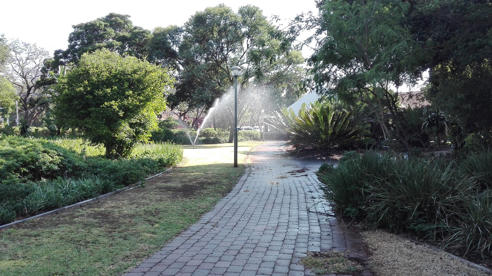 Springbok Park — Pretoria
