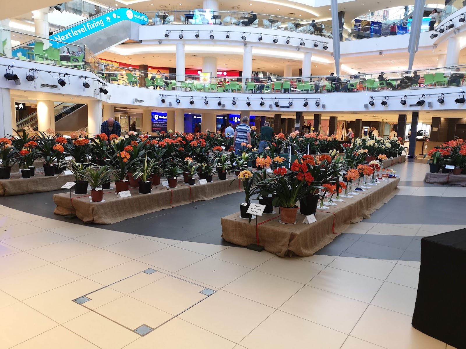 Tyger Valley Shopping Centre — Cape Town
