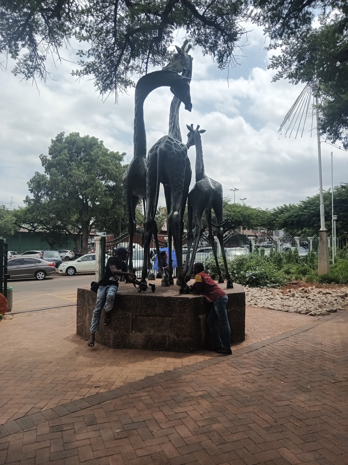 Jank Botec Jack botes park – TortoisePath | South Africa 🇿🇦