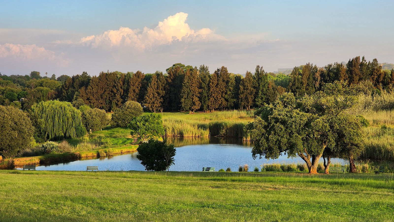 Emmarentia Park — Randburg
