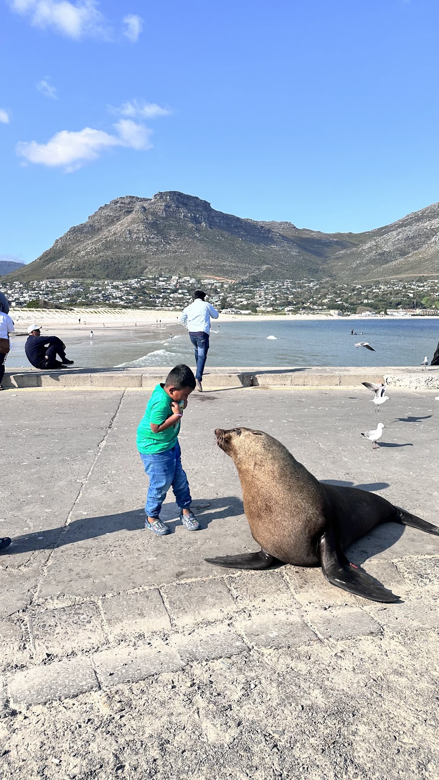 Hout Bay Beach