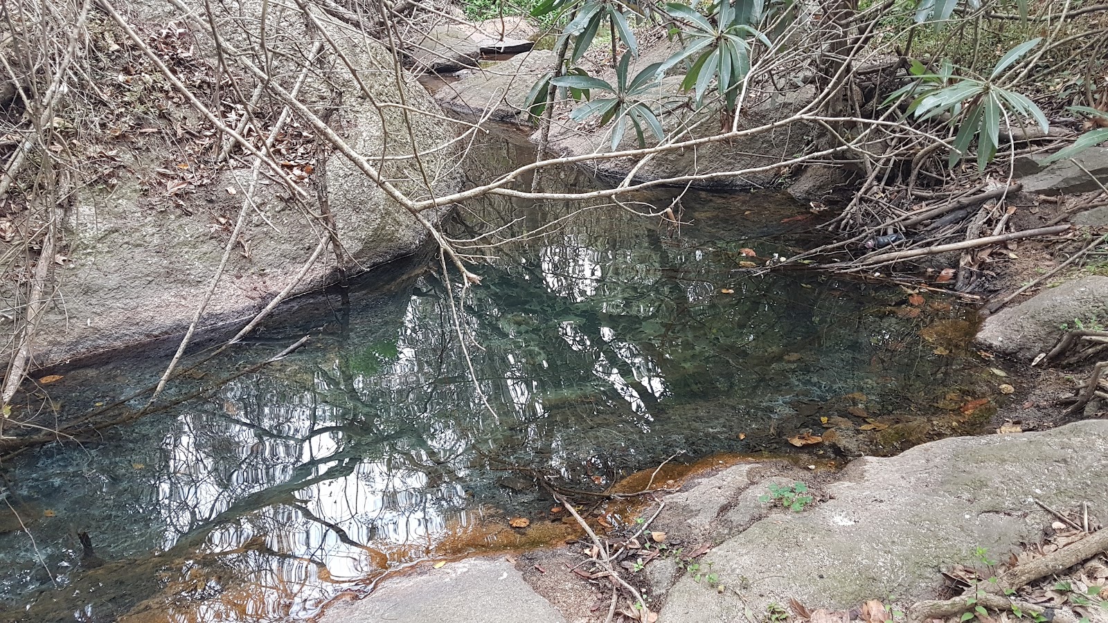 Nature Park — Mbombela