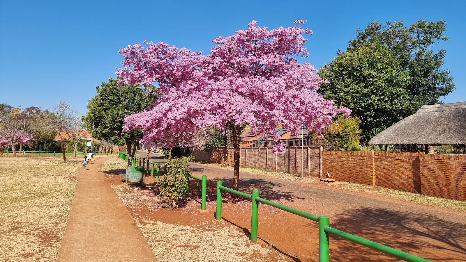 Annlin Annlin Park And Walk Way β TortoisePath | South Africa πΏπ¦
