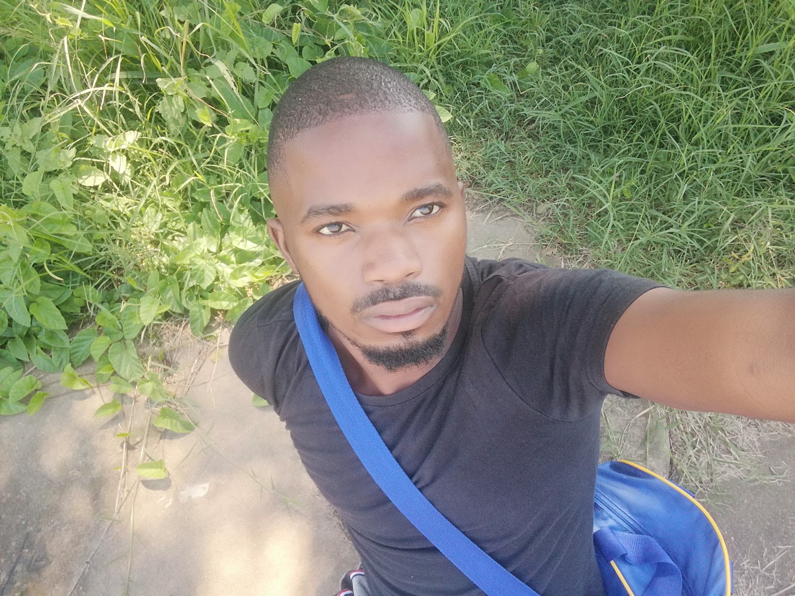 Umbilo Park – TortoisePath | South Africa 🇿🇦