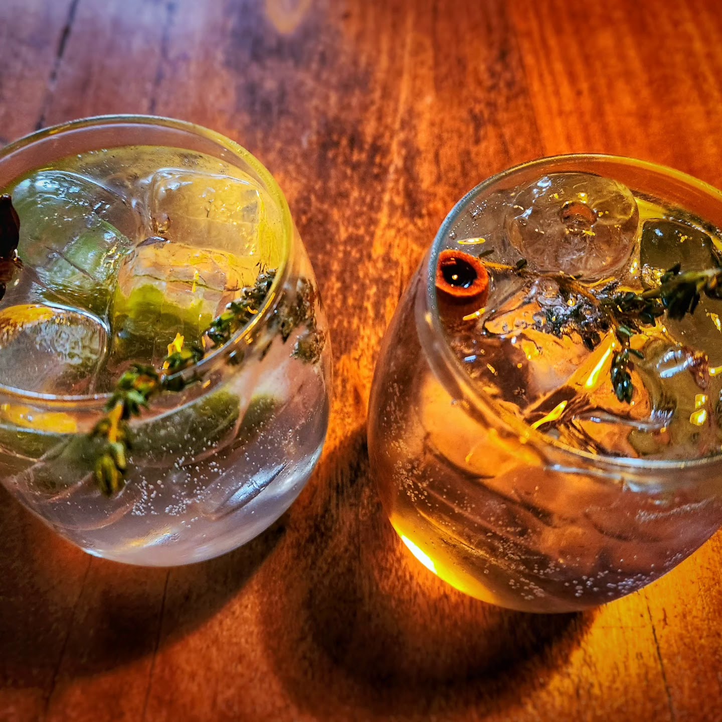 The Gin Bar – TortoisePath | Southafrica 🇿🇦
