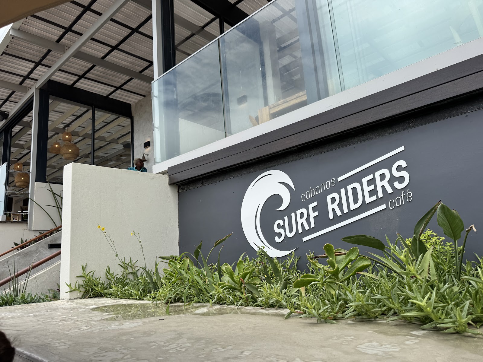 Where Is Surf Riders Surf Riders Cafe – TortoisePath | South Africa 🇿🇦