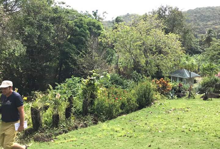 Mamiku Gardens — Mon Repos