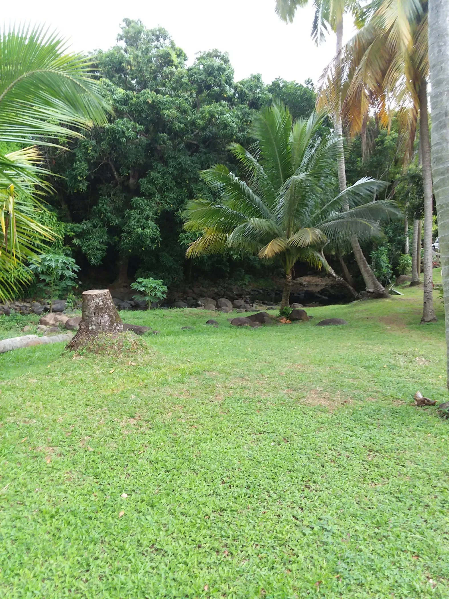 The first wide look at Fond Latisab Creole Park, showing the outdoor setting visitors are actually planning around in Babonneau.