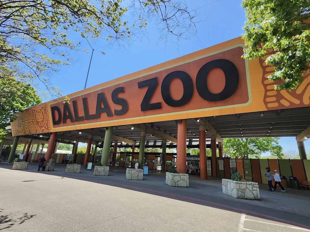 Dallas Zoo | Texas USA 🇺🇸 — Dallas