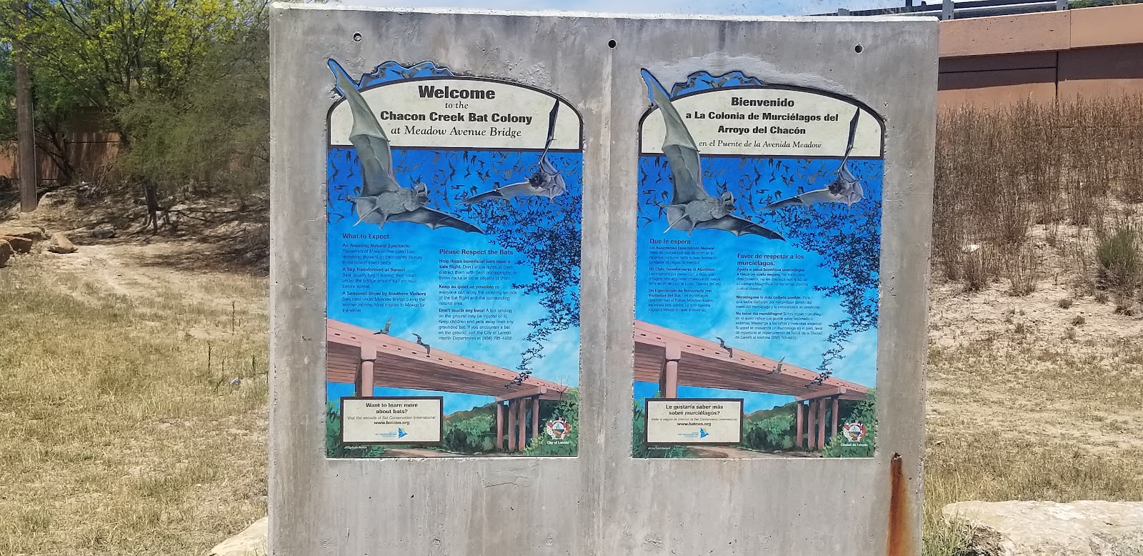 Chacon Bat Park | Texas USA 🇺🇸 — Laredo