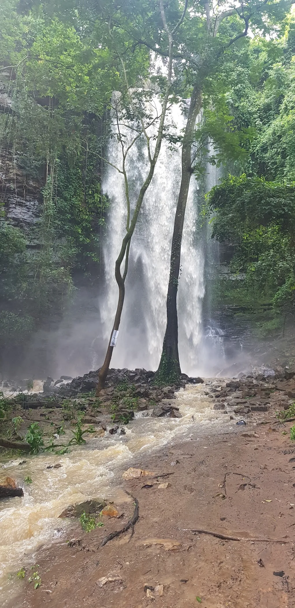 Asenema Waterfalls — Akuapem