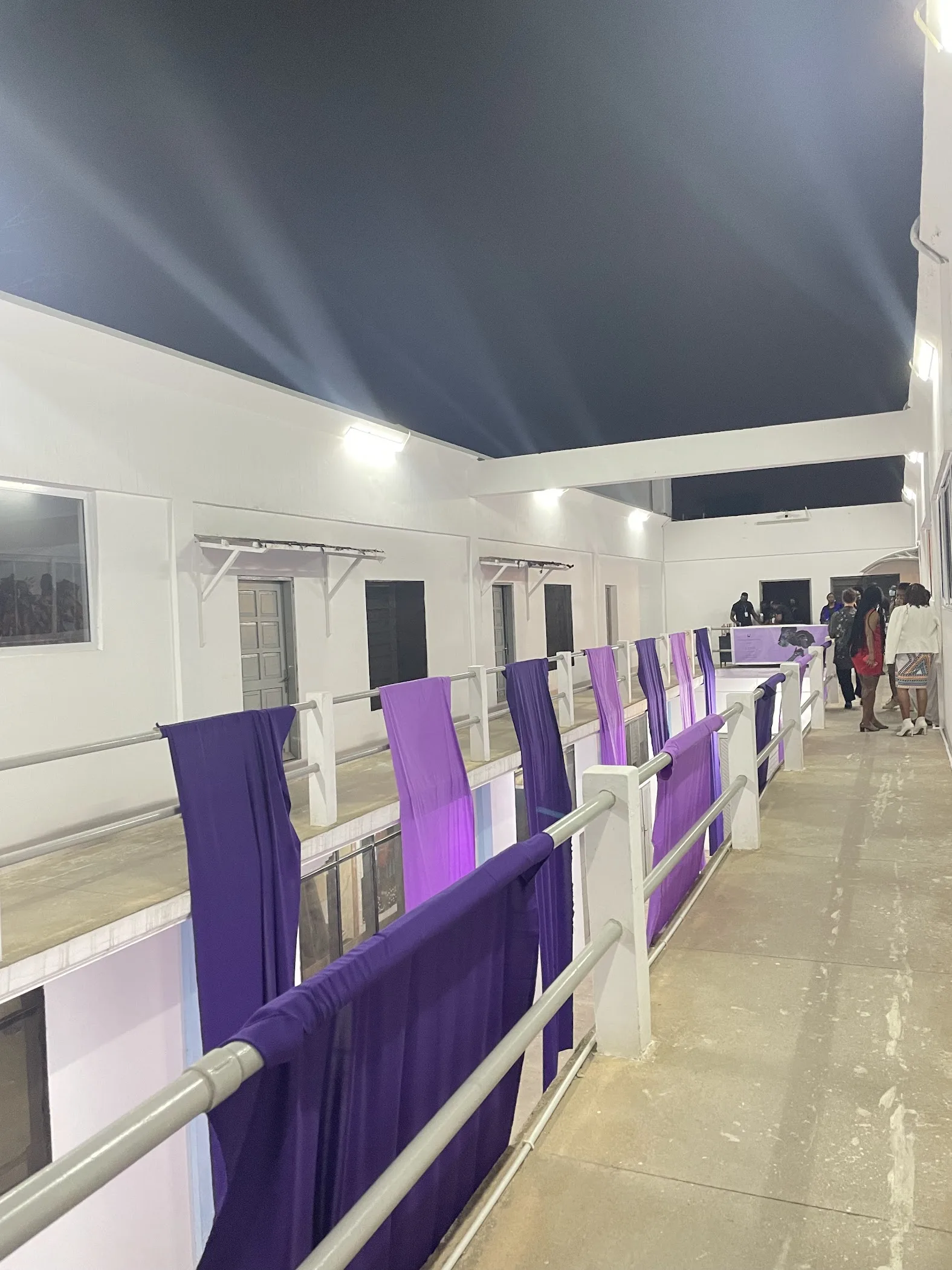 Noldor Artist Residency | Institute Museum of Ghana — Accra