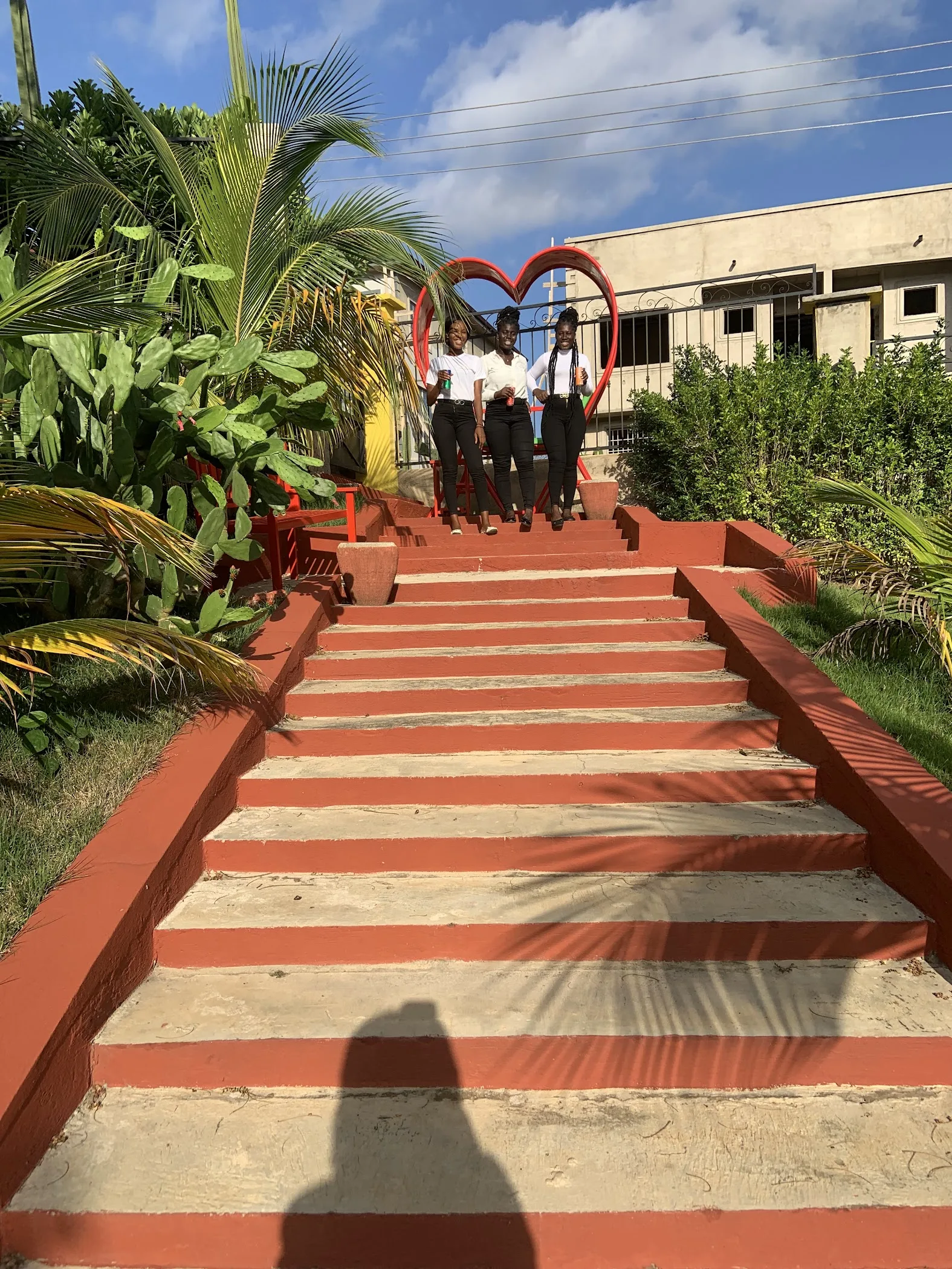 Cactus Creek Hotel Ghana  TortoisePath