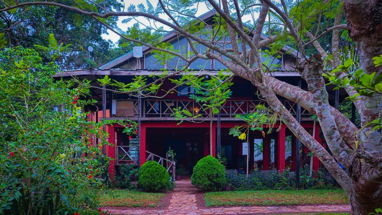The Tree House B&B, Aburi