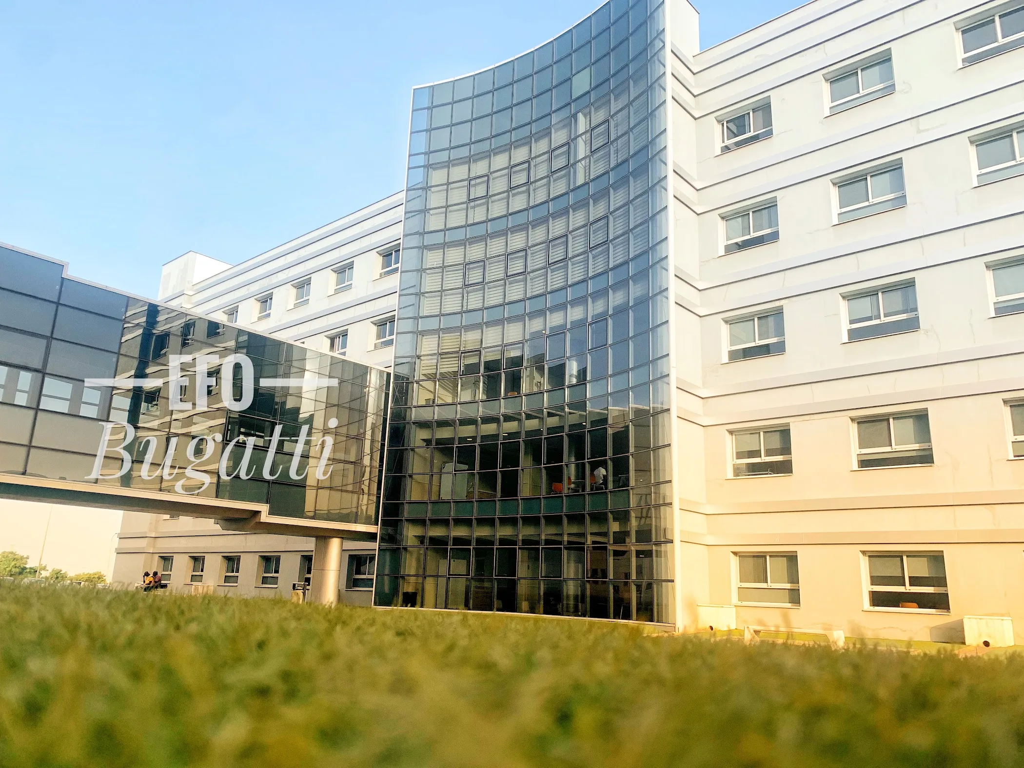 University Of Ghana Medical Centre – TortoisePath