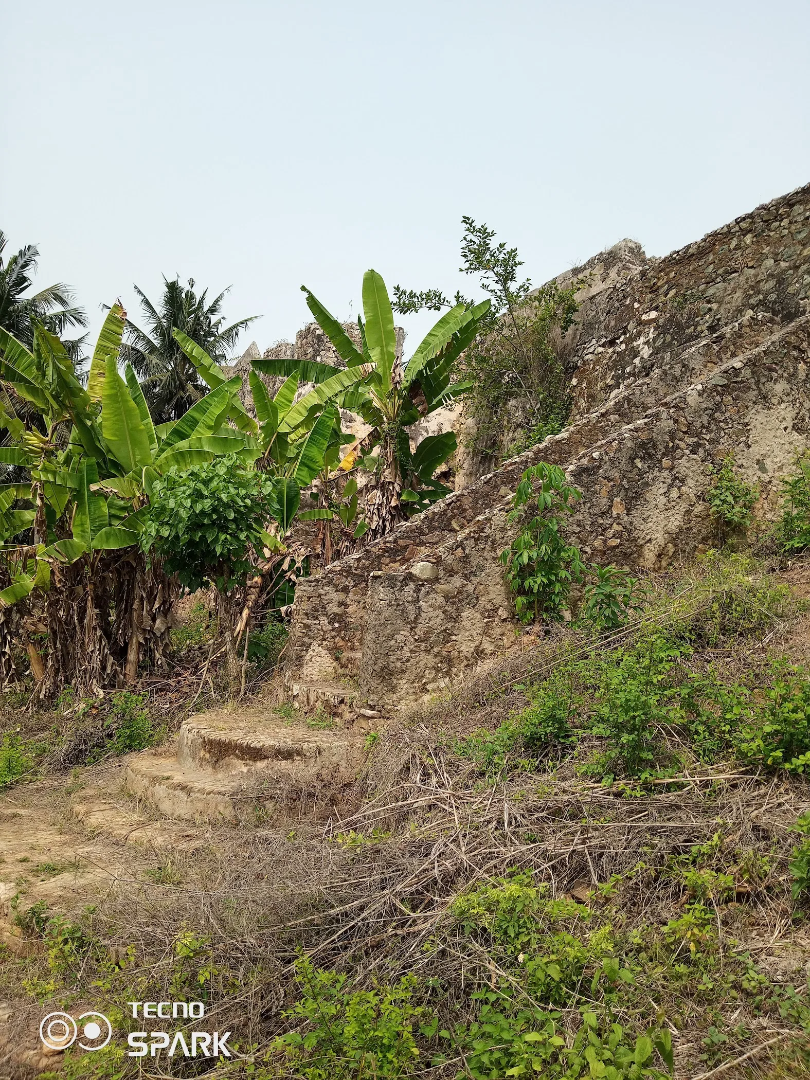 Butre Fort Batenstein – TortoisePath