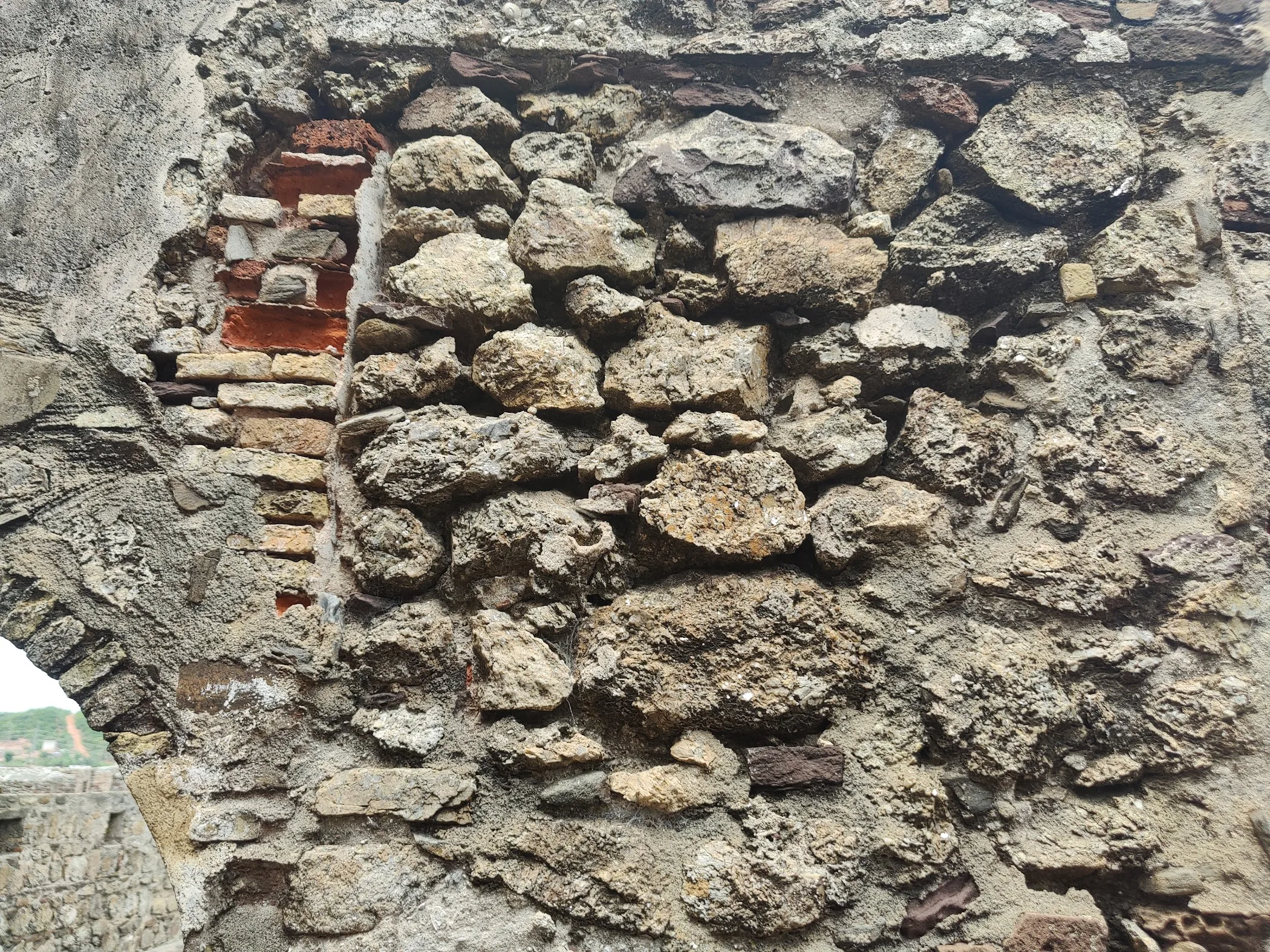 Source image from TortoisePath