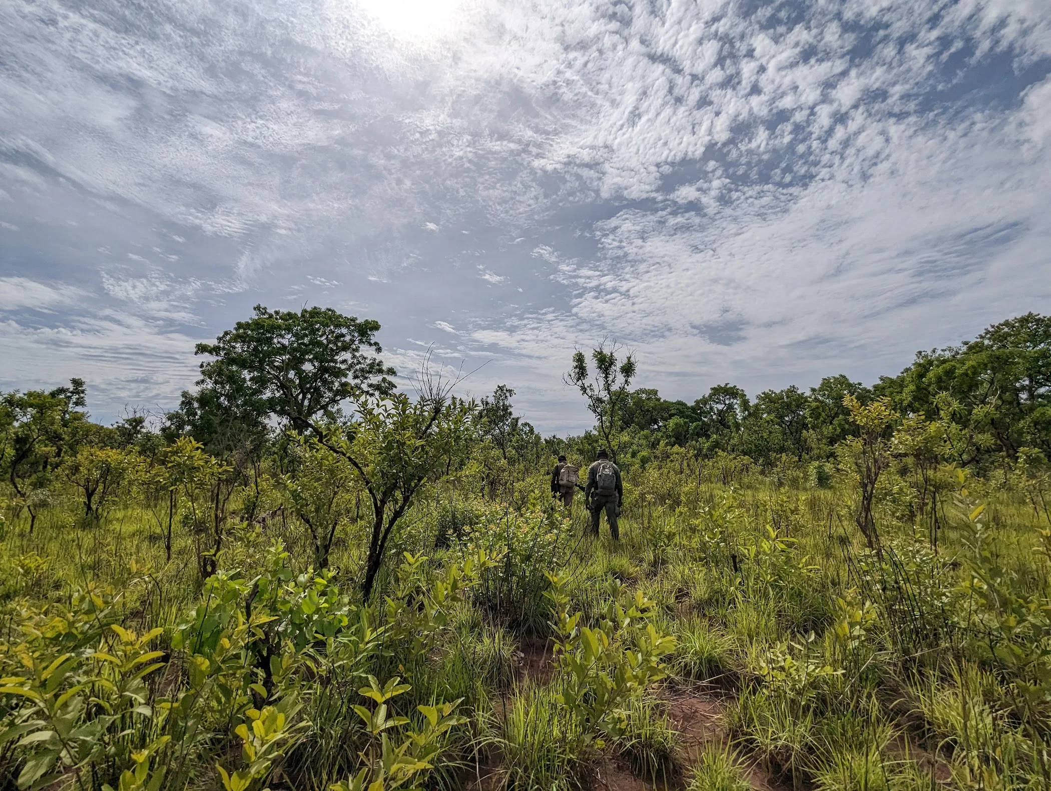 Digya National Park — Bompoi