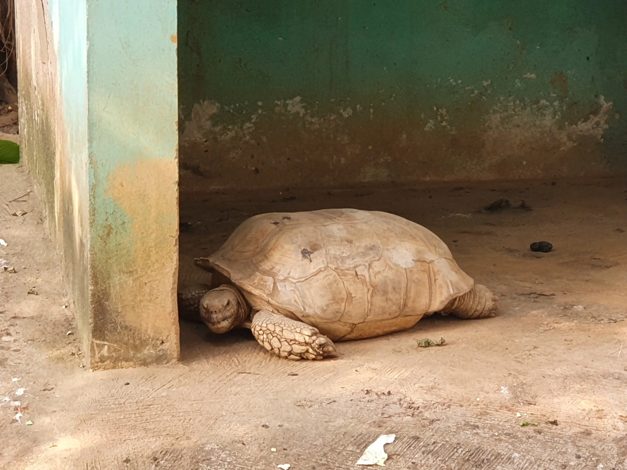 Arrival and context view at Kumasi Zoological Gardens in Kumasi, Ashanti Region.