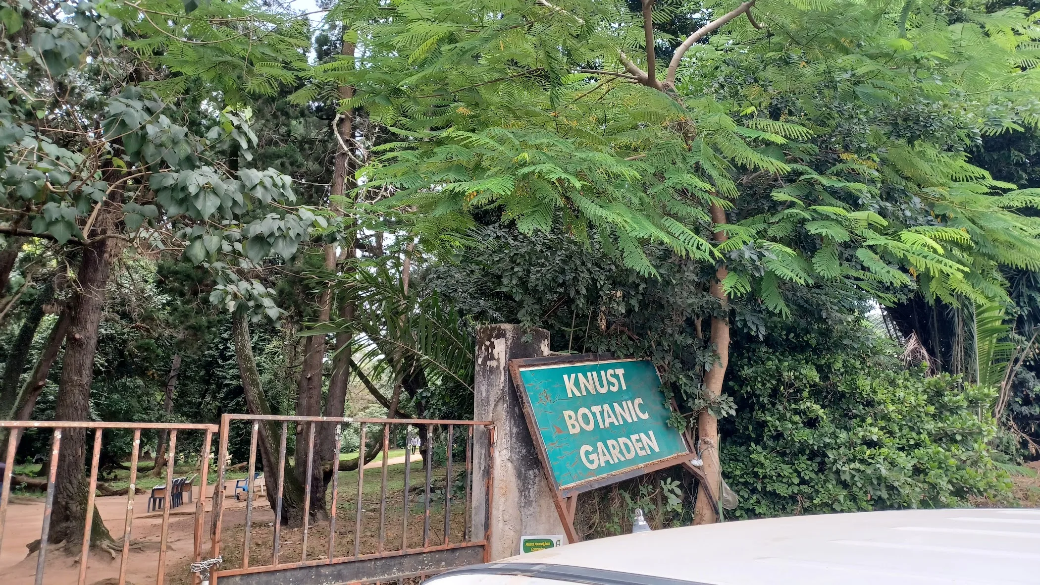 KNUST Botanical Garden — Kumasi