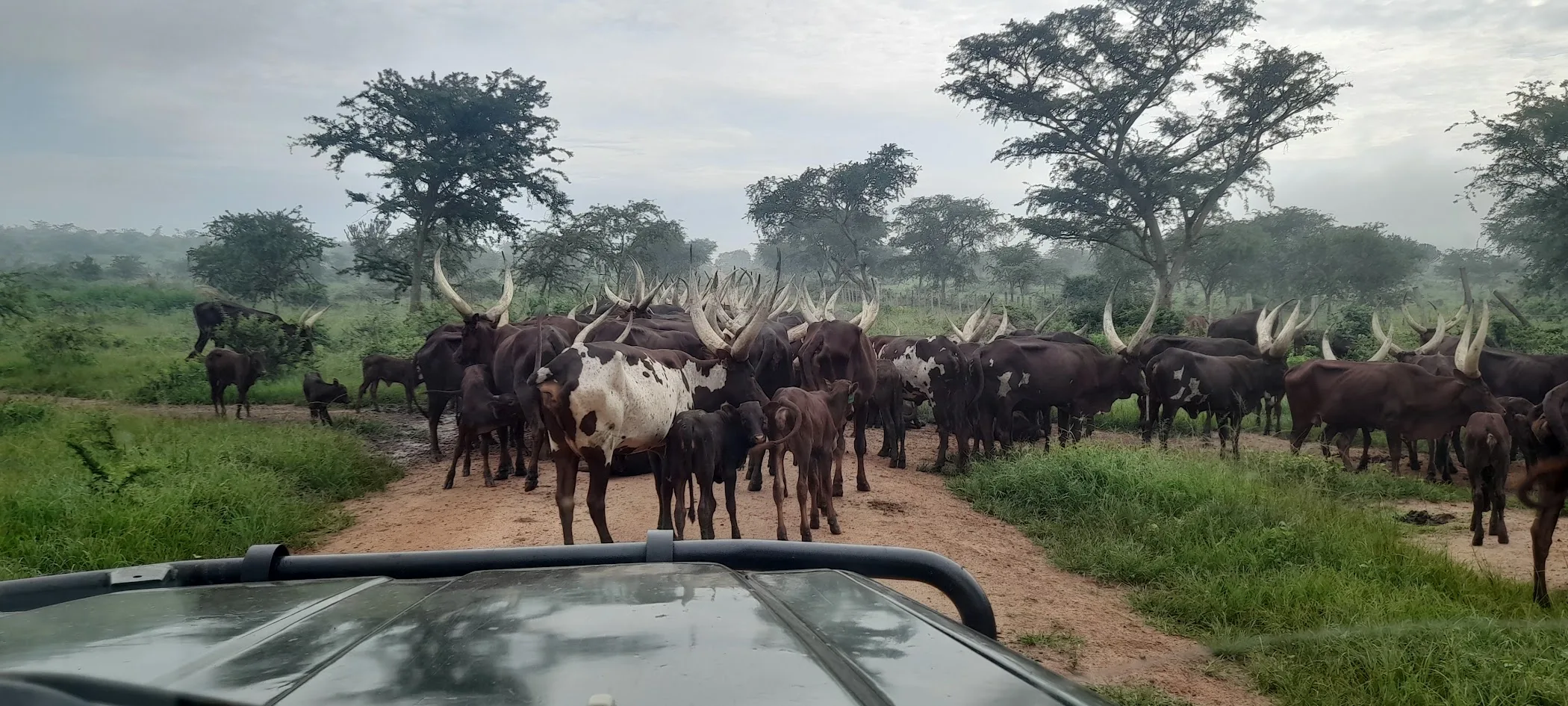 Ajai Wildlife Reserve — Ipife