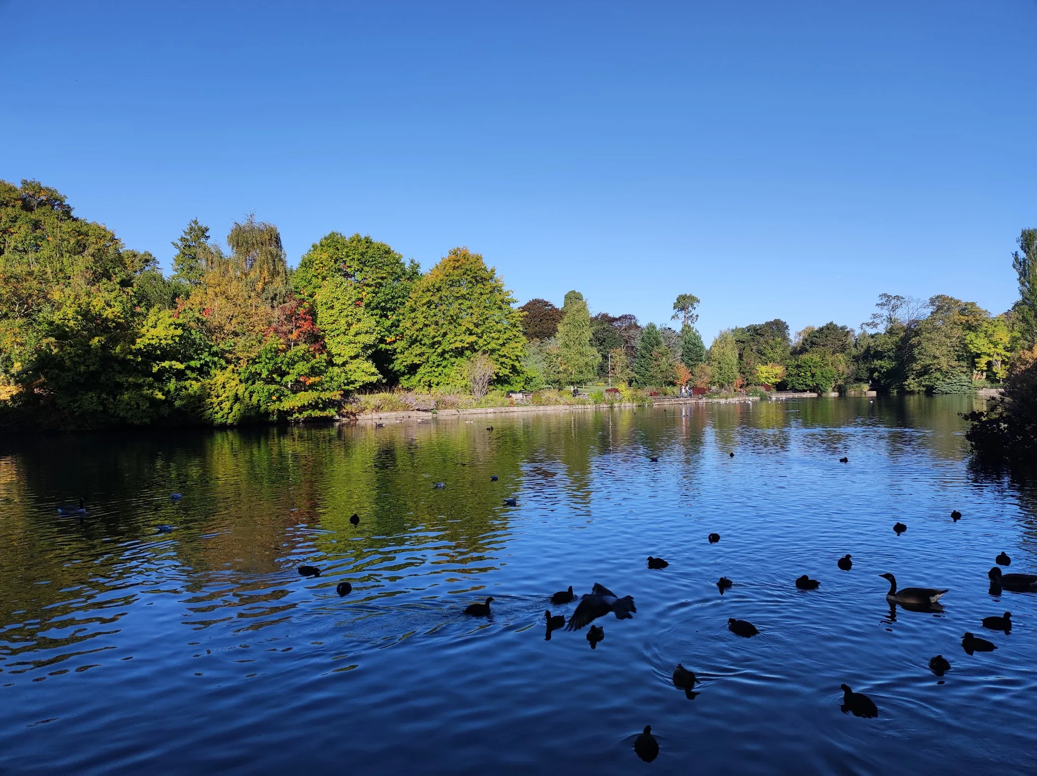 Kelsey Park — Beckenham