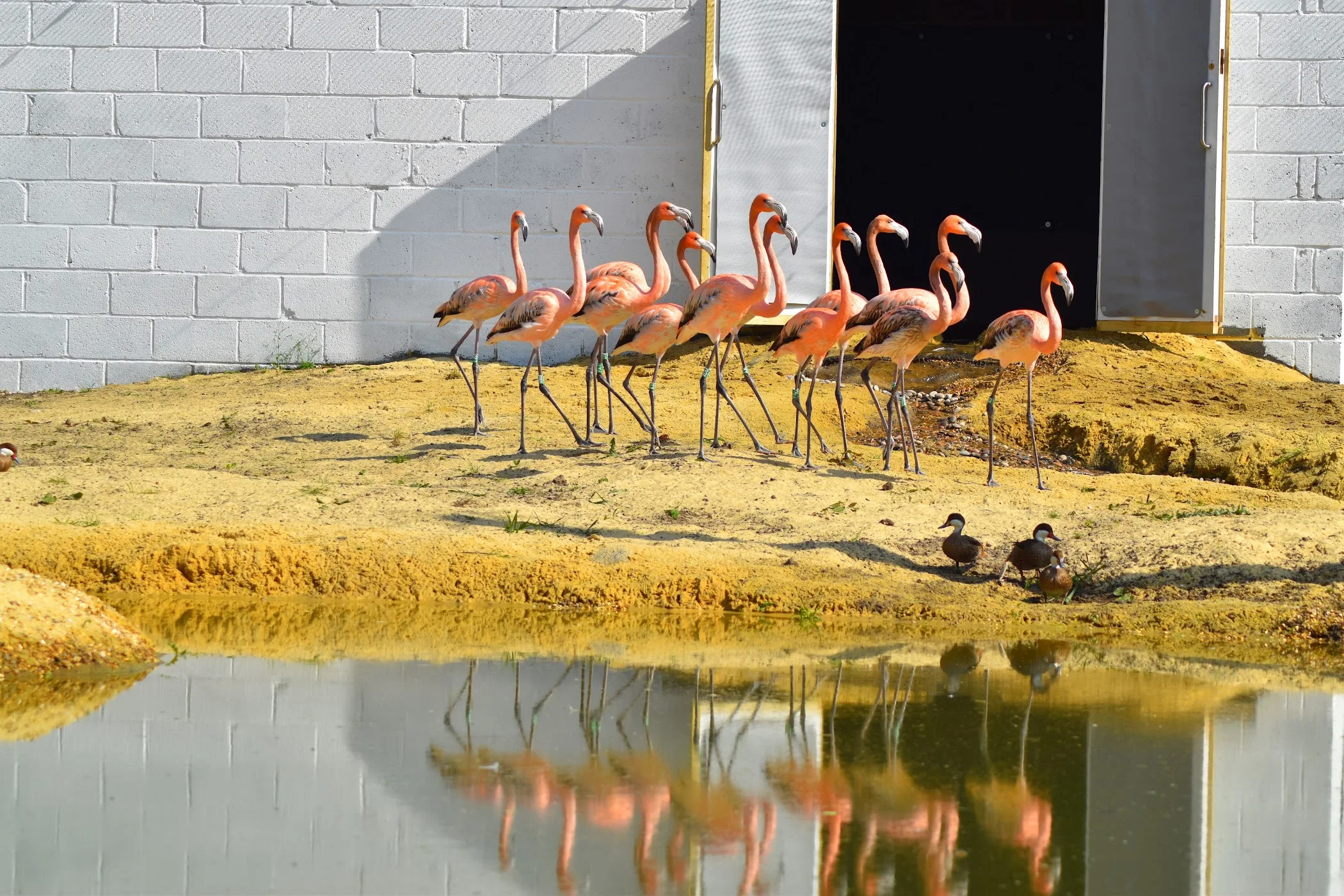 Hanwell Zoo — London
