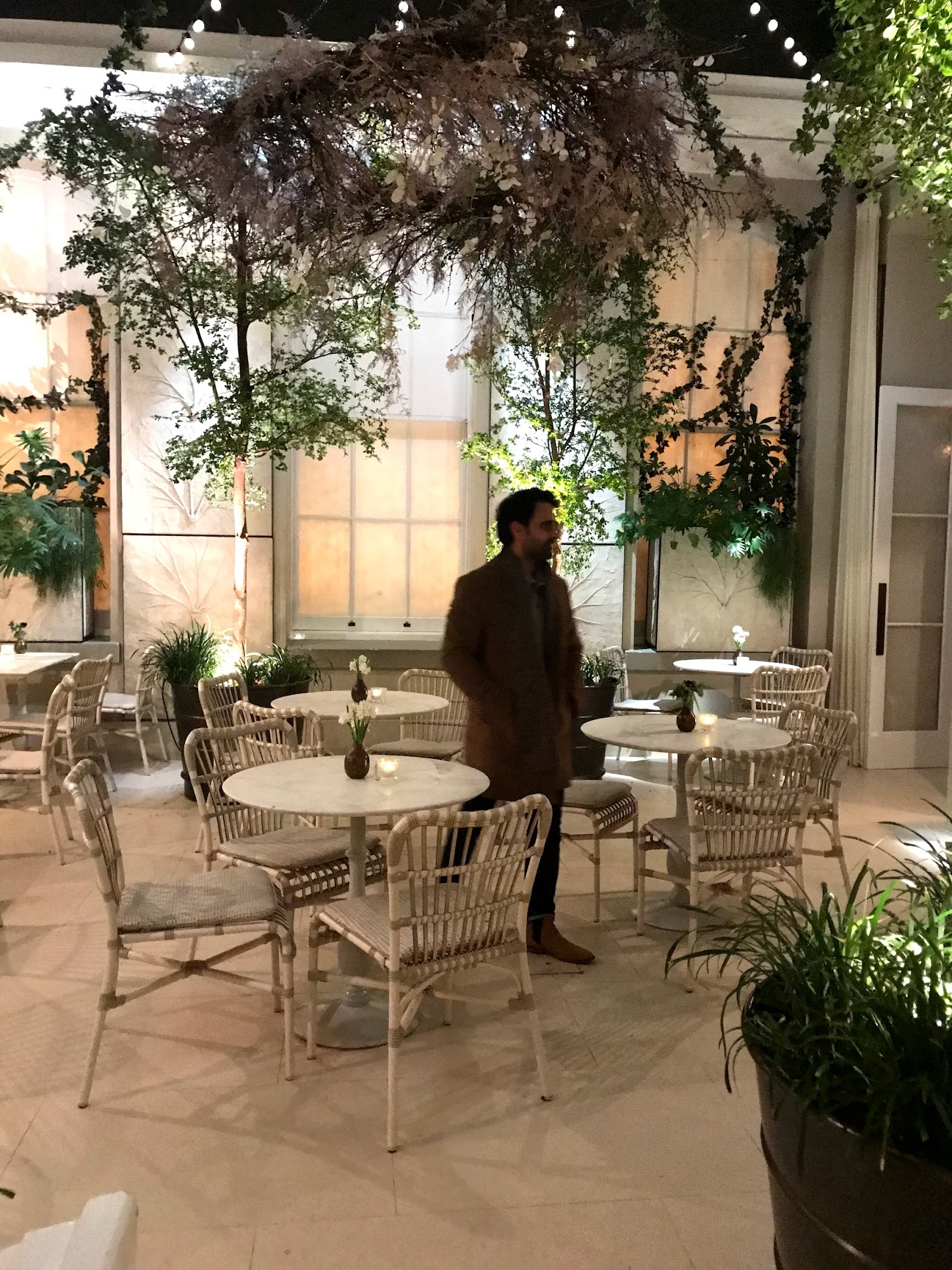 Spring Restaurant – TortoisePath | United Kingdom 🇬🇧