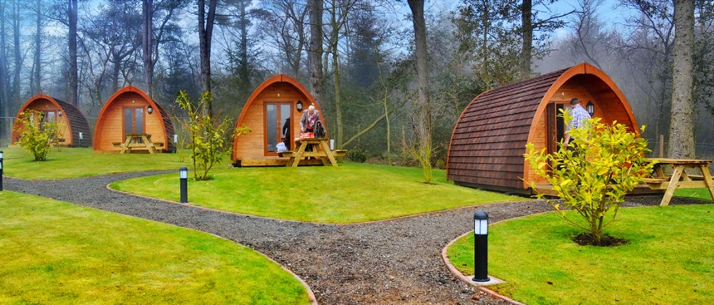 Falcon Forest Glamping