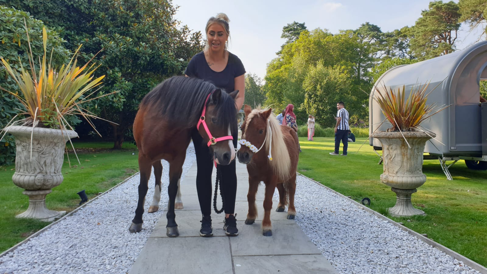 E&S London Pony Parties & Pony Hire