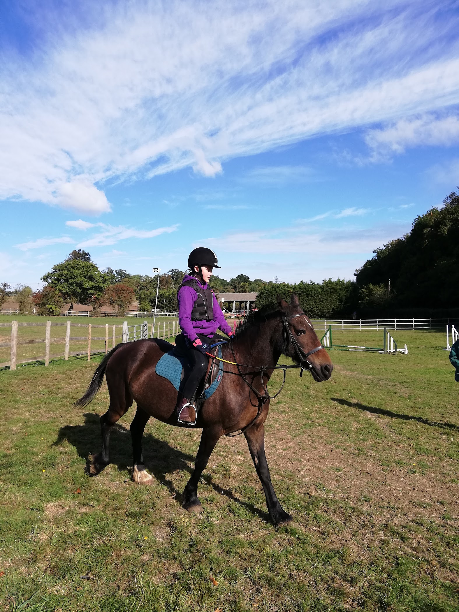 Mount Mascal Stables