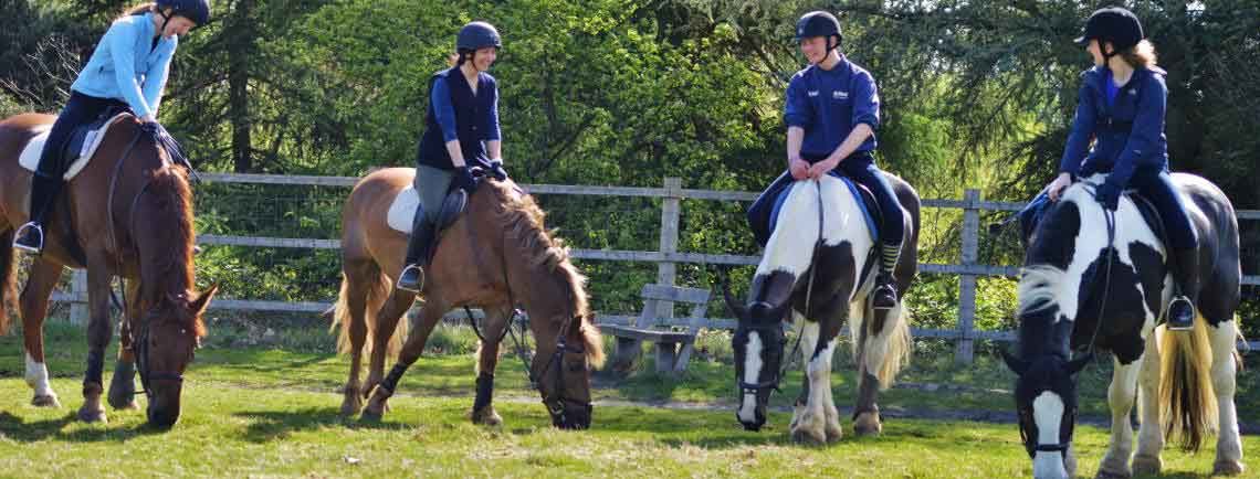 Kingston Riding Centre