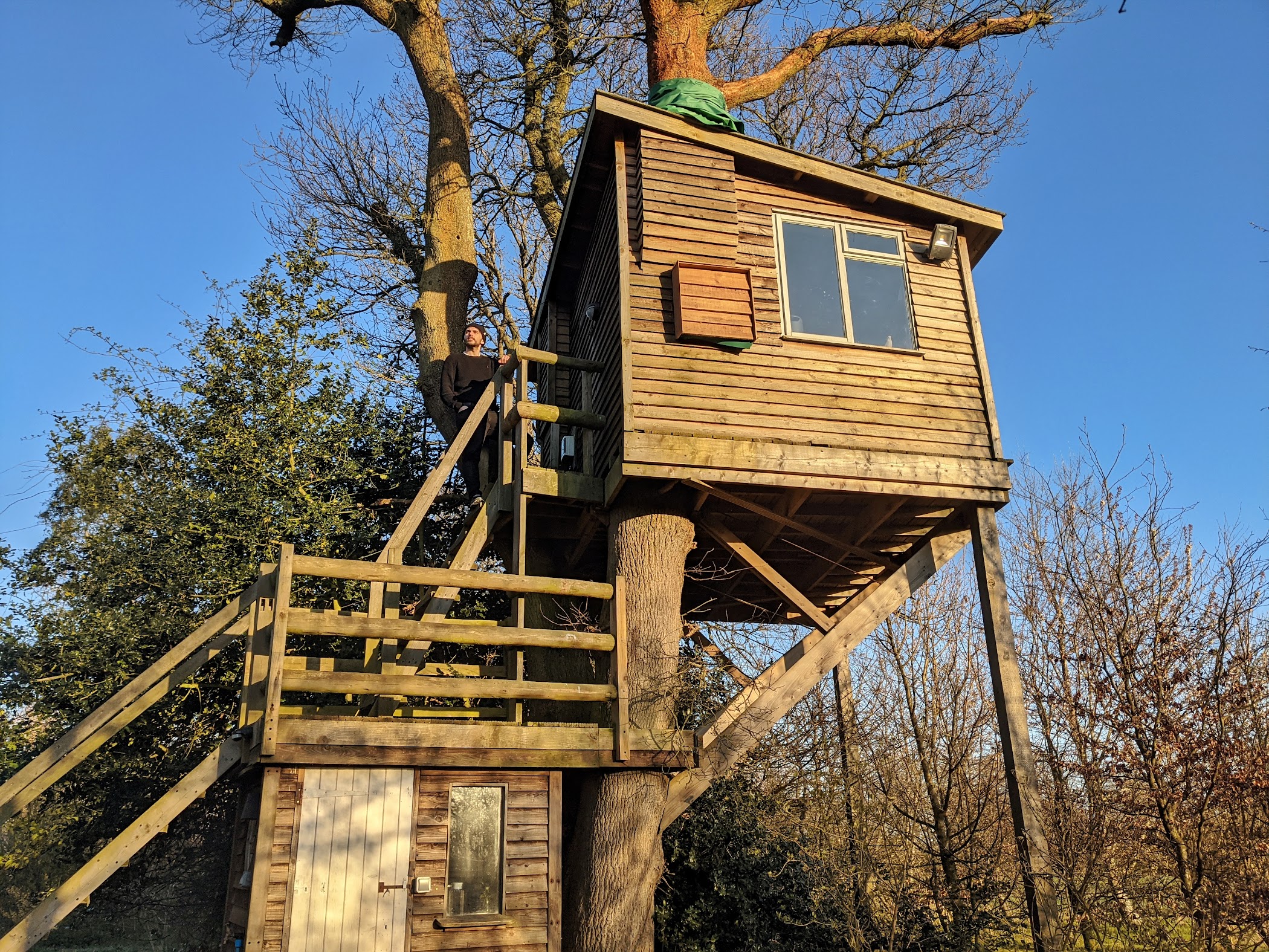 Elham Treehouse — Canterbury