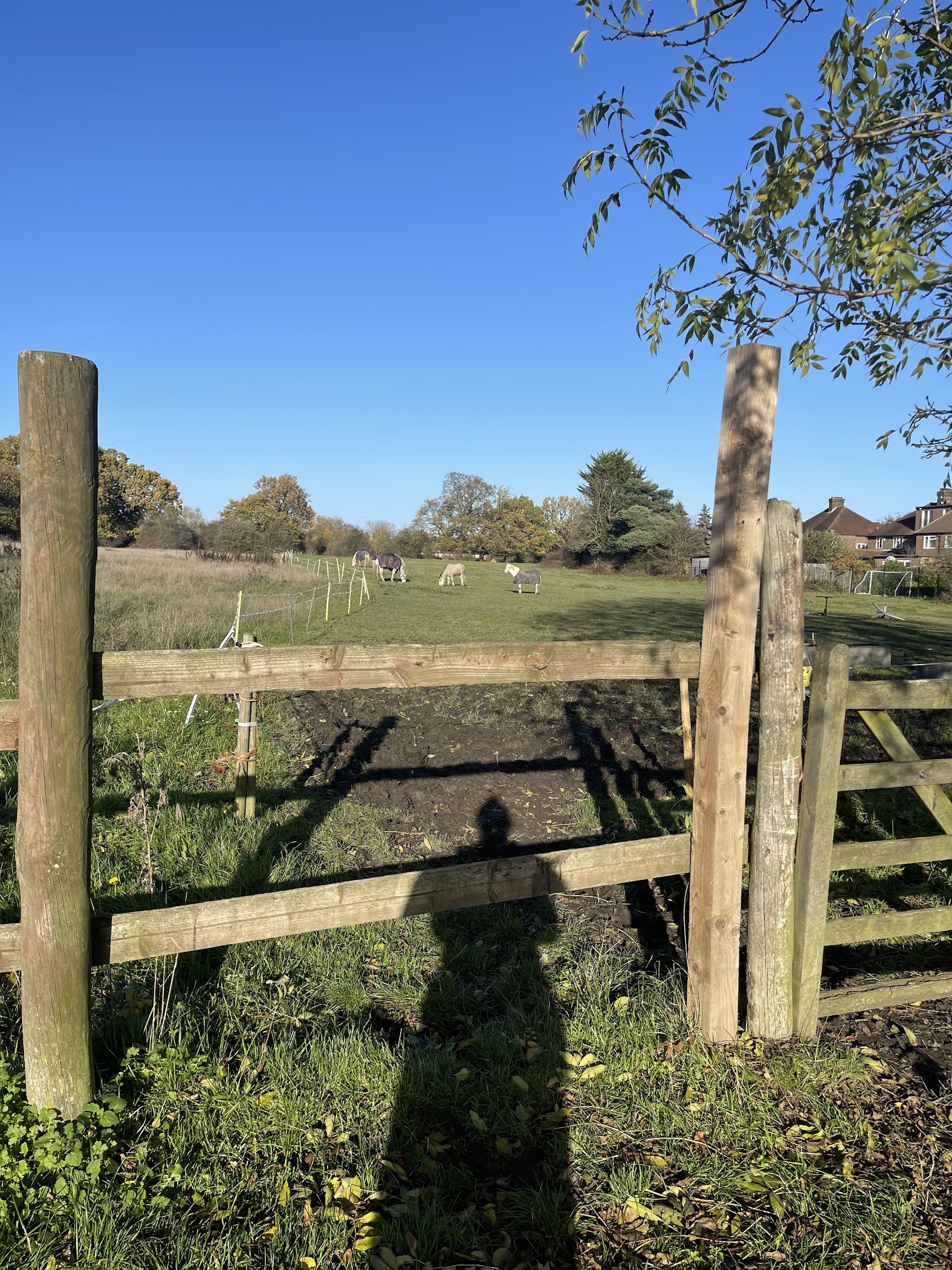 Bush Farm Collective – TortoisePath | United Kingdom 🇬🇧