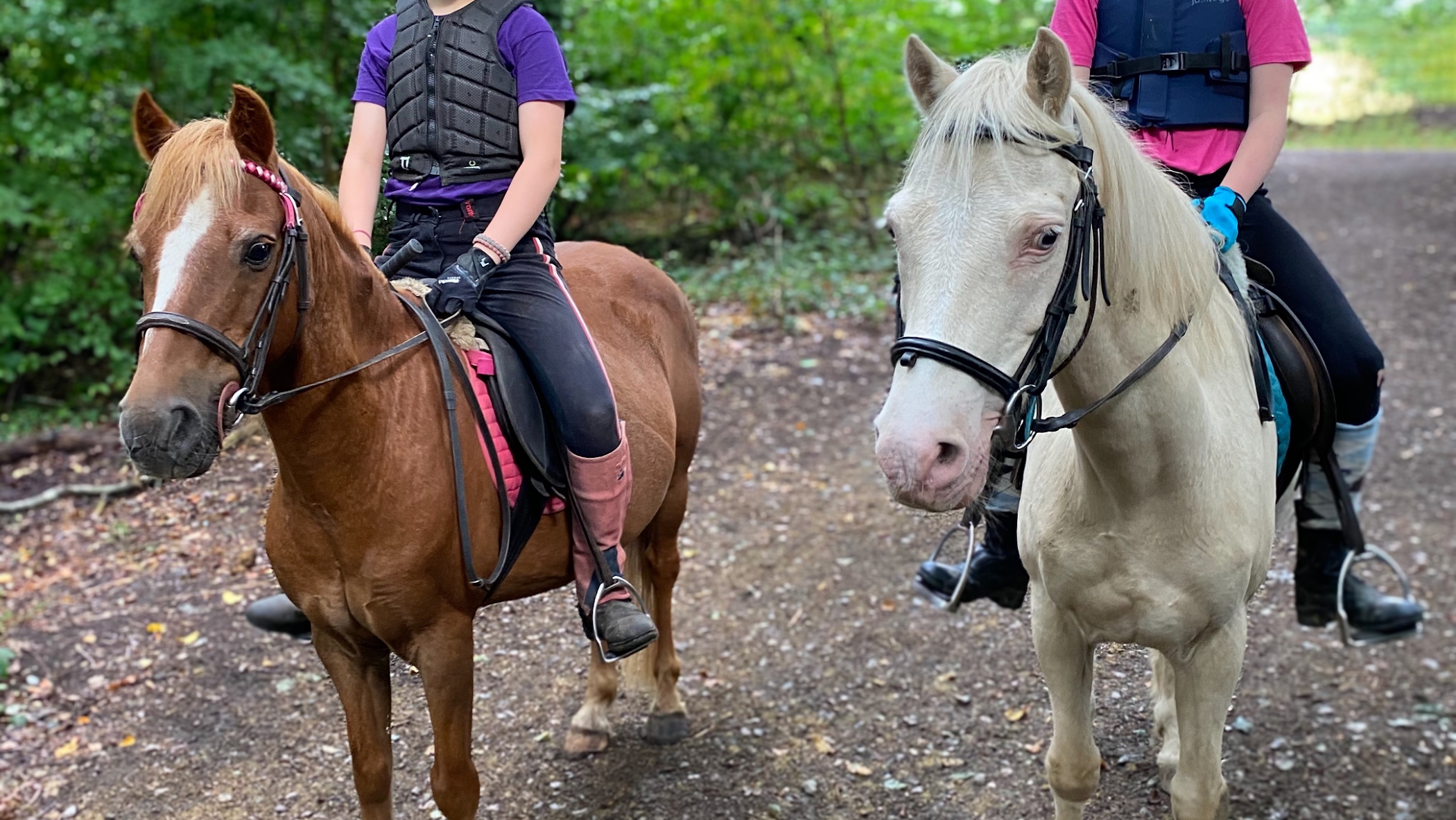 Ruislip Park Stables — Pinner