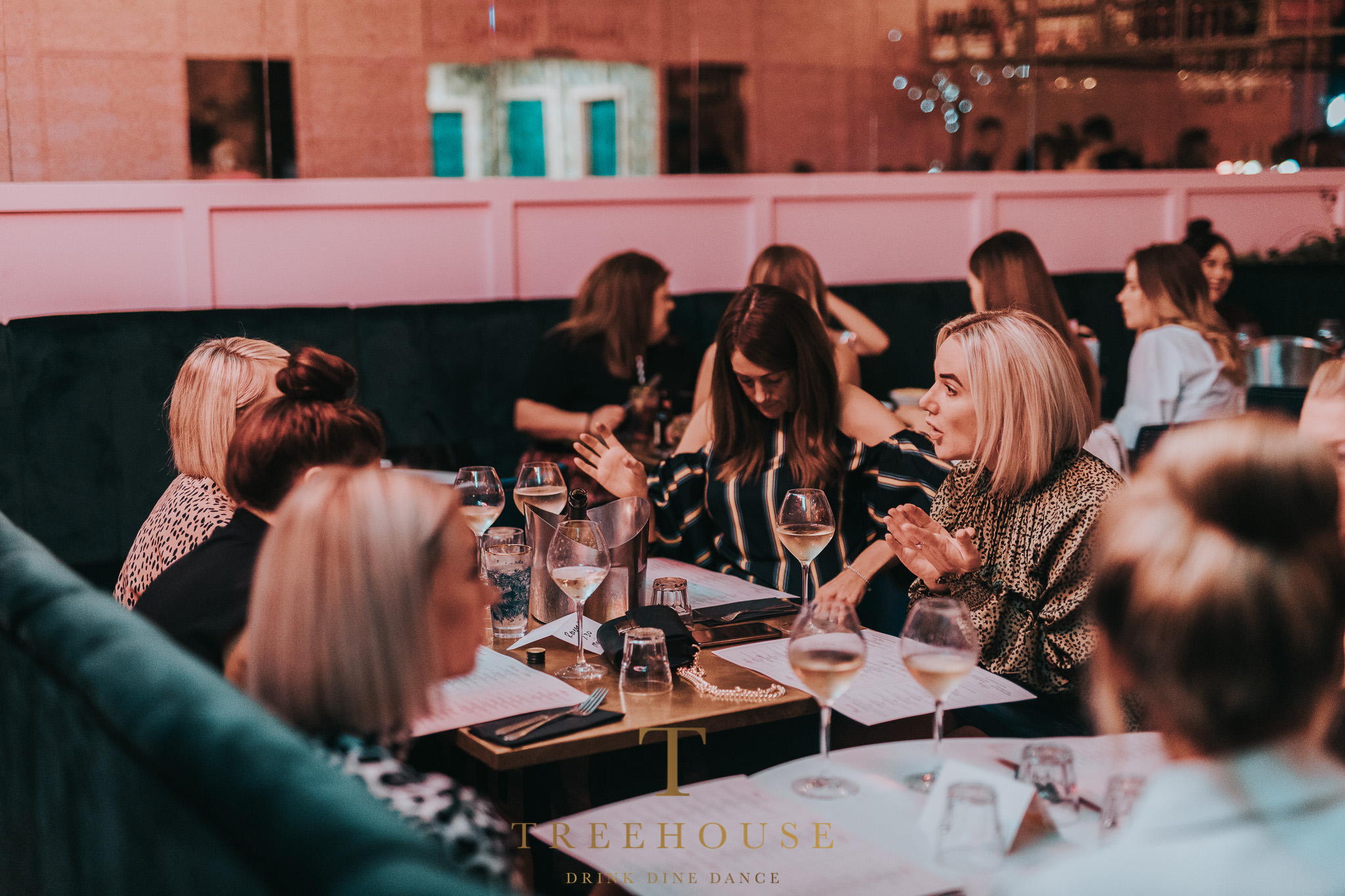 The Treehouse | Hessle — Hessle