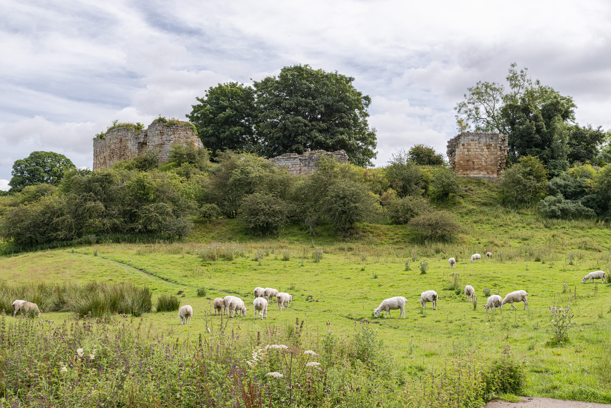 Mitford Castle — Mitford