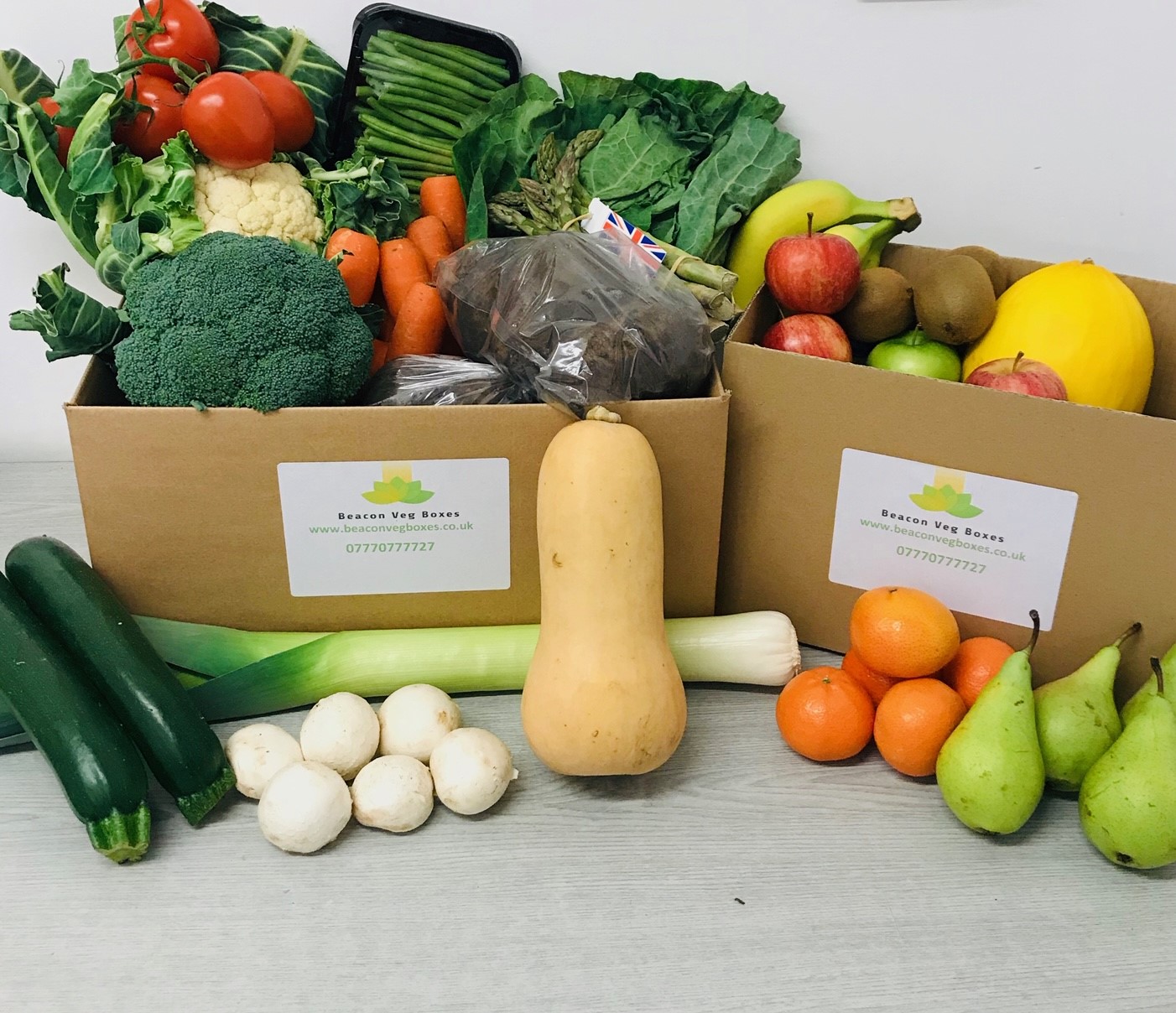 Beacon Veg Boxes – TortoisePath | United Kingdom 🇬🇧