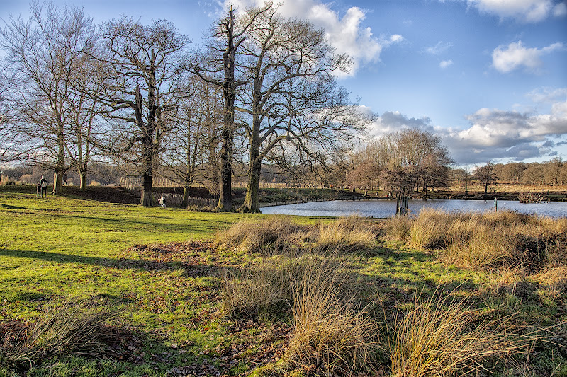 Richmond Park