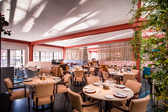 Bluebird Chelsea