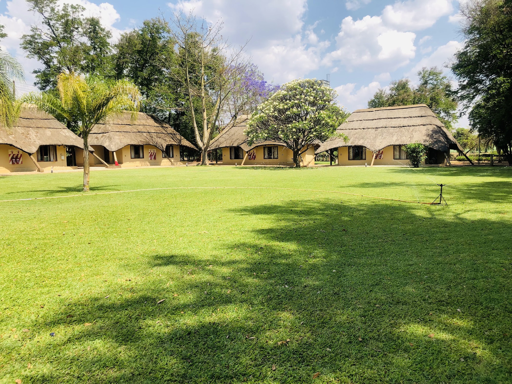 Creamy Heaven Kitwe | Zambia – TortoisePath | Zambia 🇿🇲